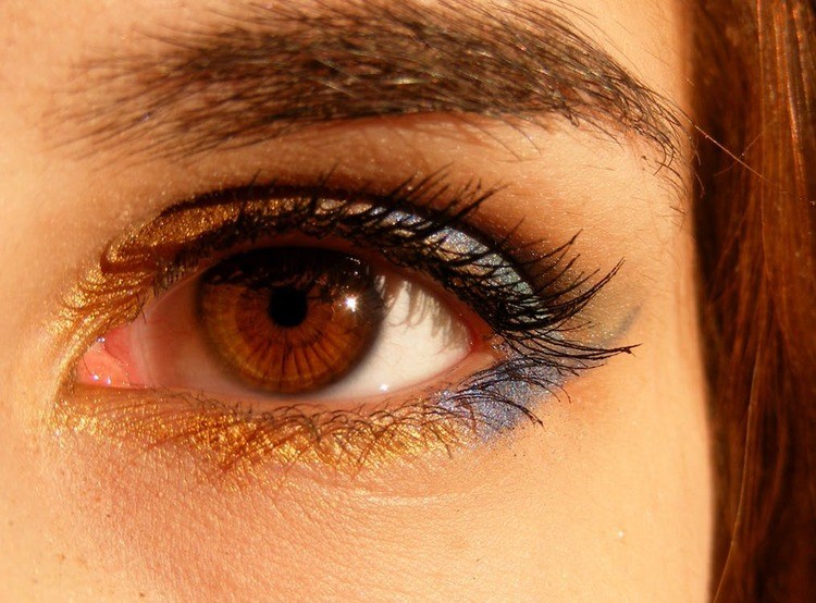 sparkling brown-brown-eyes